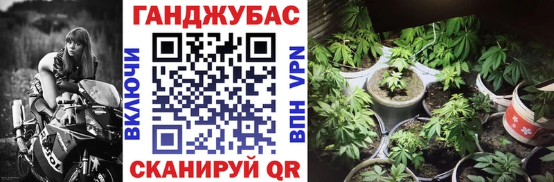 наркота  Ленинградская  Конопля Ganja 